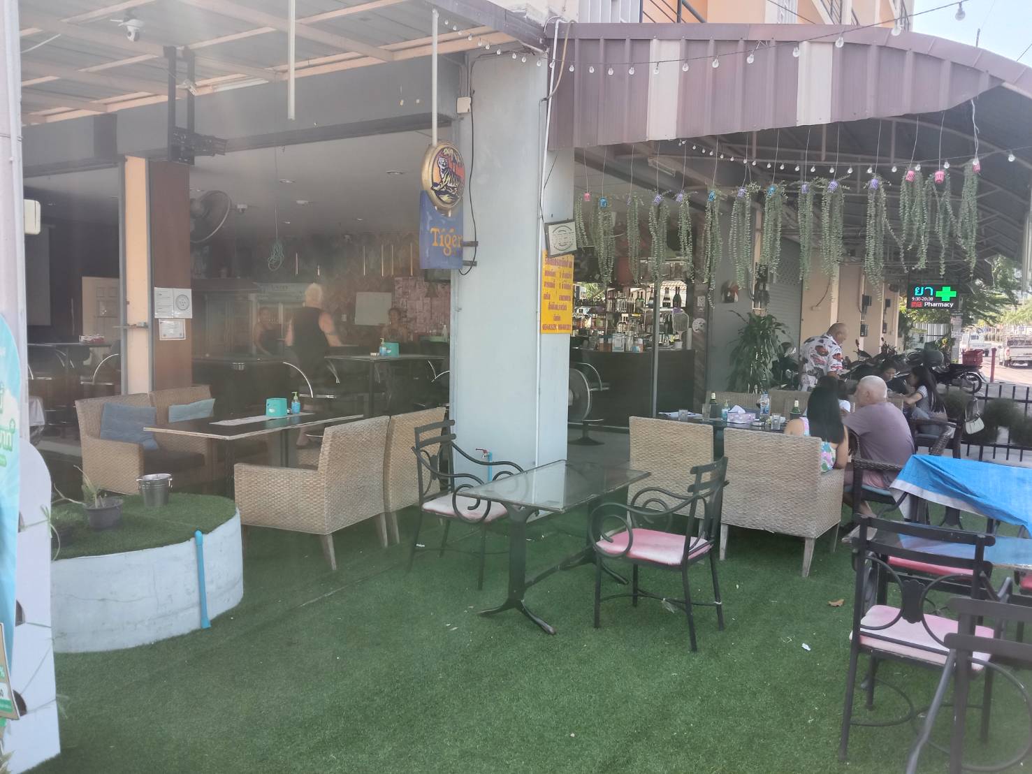 sugar palm wide terras