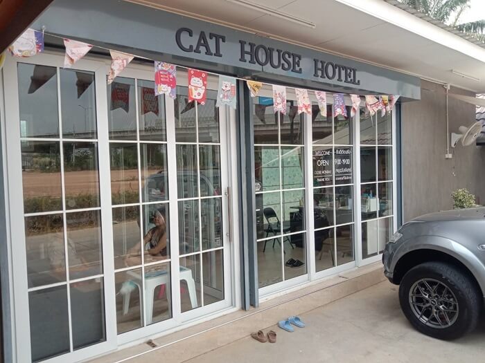 Cat House Hotel and petshop Pattaya, petshop