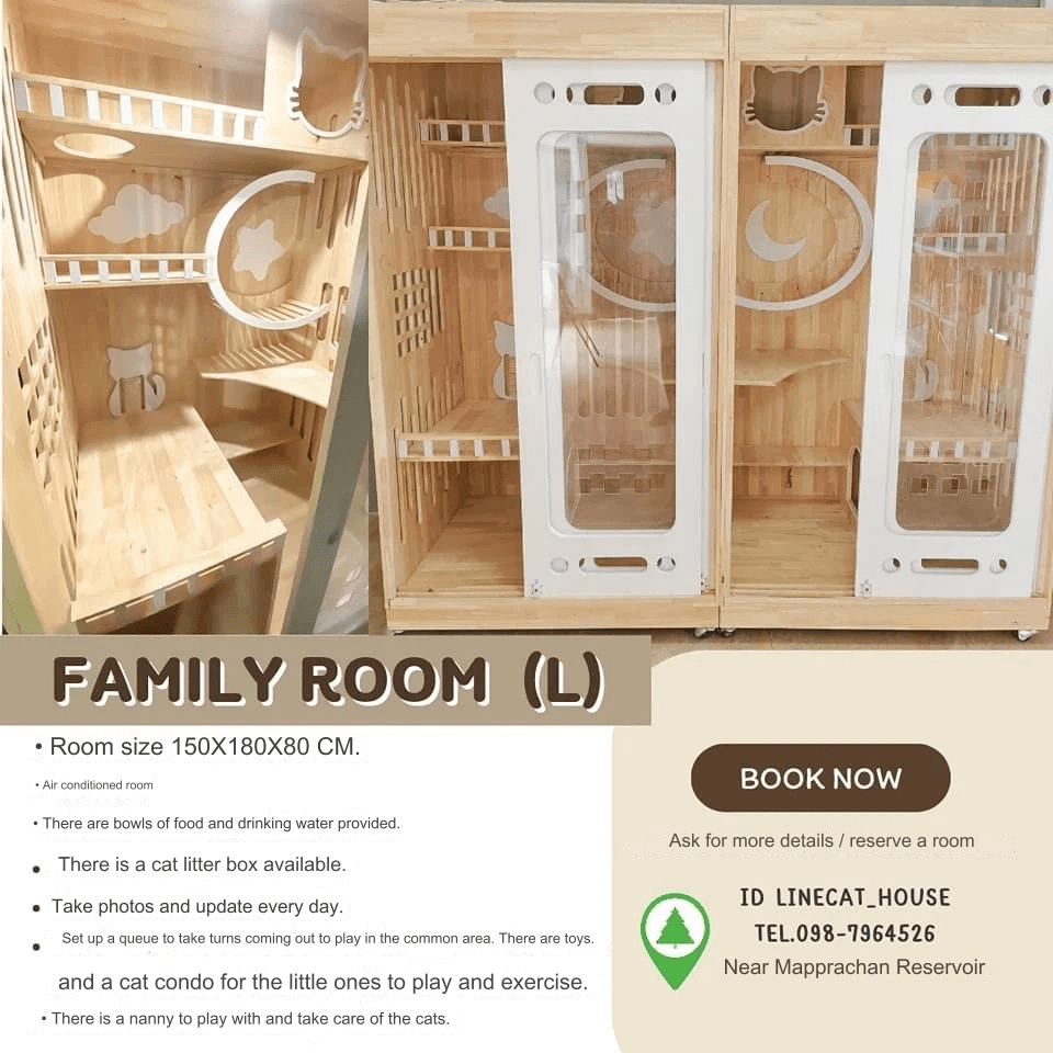 Cat House Hotel and petshop Pattaya,family home