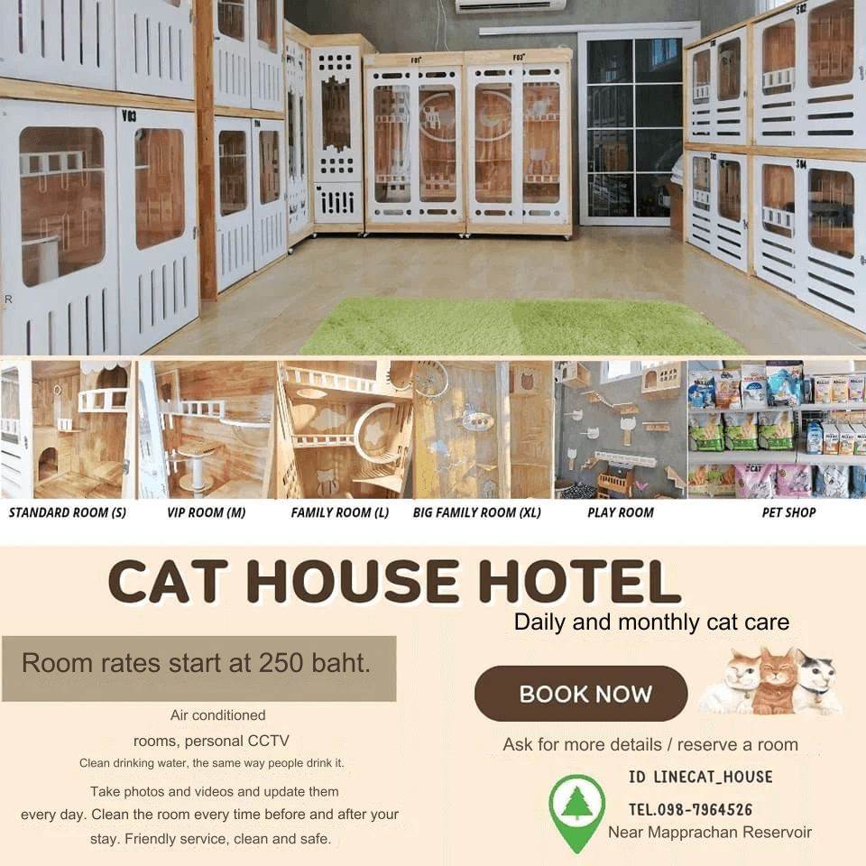 Cat House Hotel and petshop Pattaya