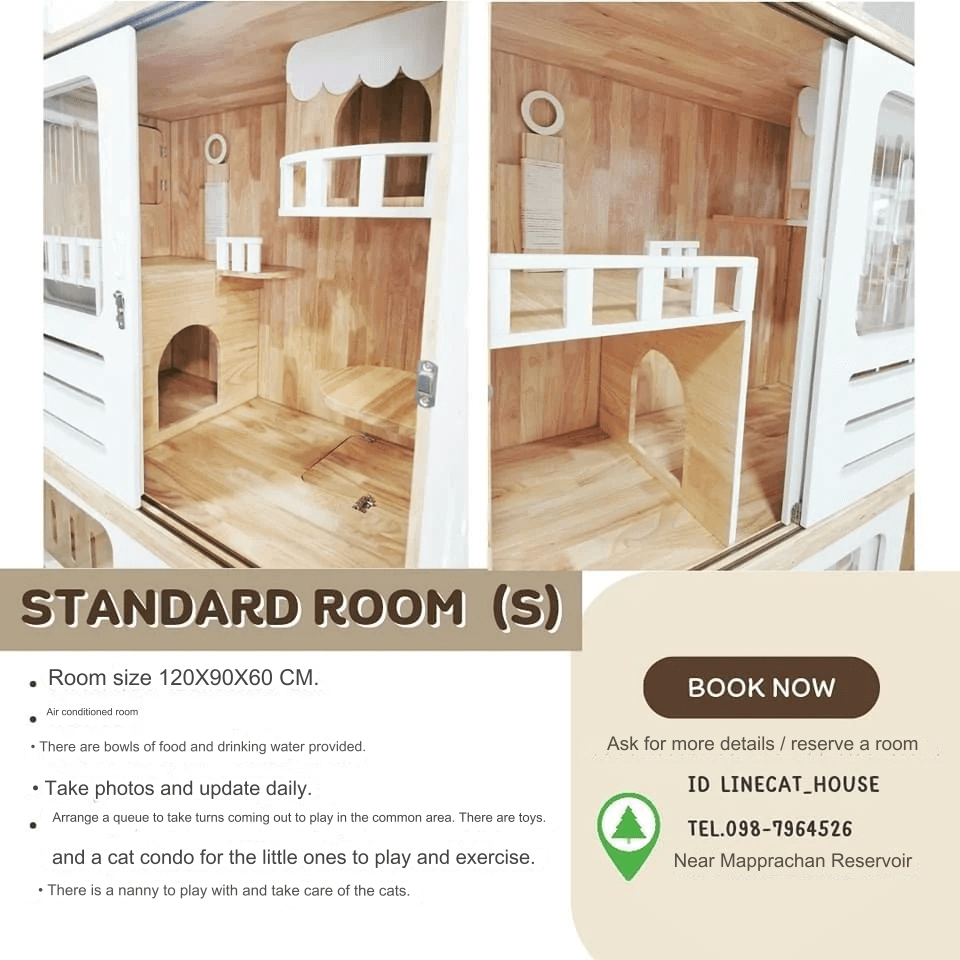 Cat House Hotel and petshop Pattaya, standard room