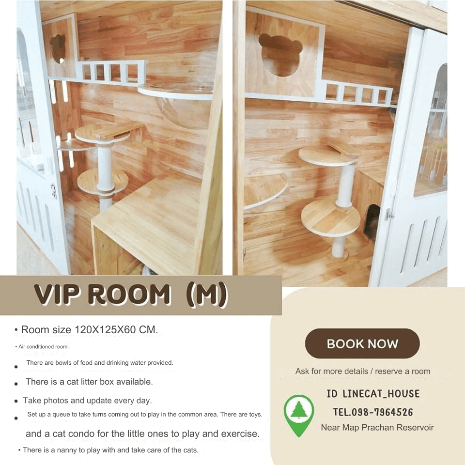 Cat House Hotel and petshop Pattaya, VIP room